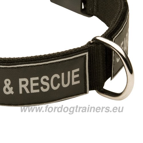 Collier rglable pour canin active