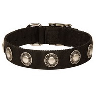 Nylon Dog Collar for Dogs with Decorations