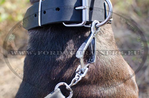 Rust resistant buckle of the leather collar with plates
nickel for Pitbull