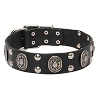Leather Dog Collar with Plated Fittings