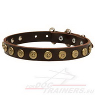Leather Dog Collar with Dotted Circles Design!