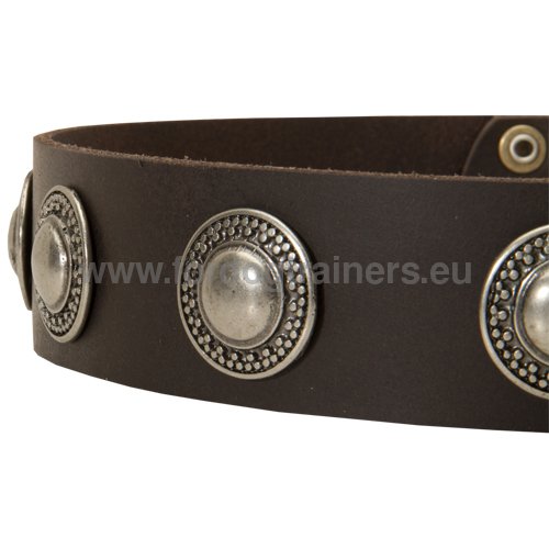 Extra strong leather collar with
circle decoration for
Boxer