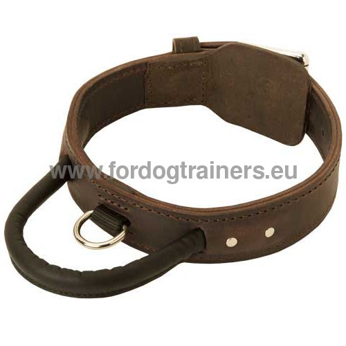 Strong Leather Collar for Service Dog