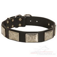 Leather Dog Collar With Nickel Plates, Elegant One!