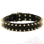 40mm Wide Leather Dog Collar with Spikes