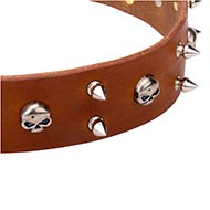 Leather Dog Collar with Skulls and Spikes