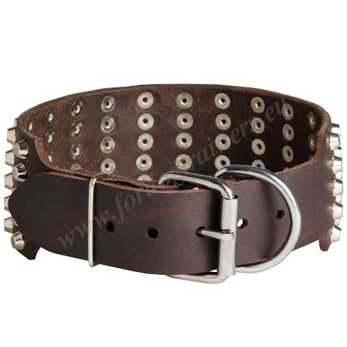 Studded Leather Collar for Dog