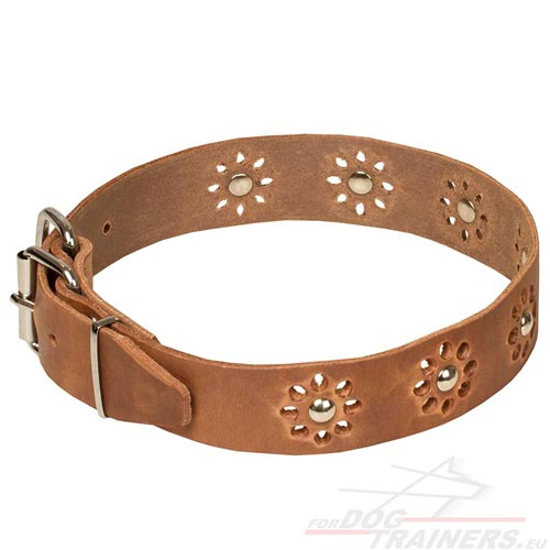 Tan Colored Leather Dog Collar with Flowers
