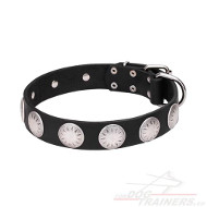 Perfectly Decorated Leather Collar for Dog