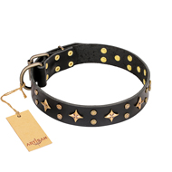 Black Leather Collar with Studs