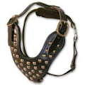 Dog harness