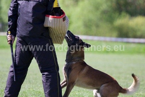 Jute Cuff on Dog Training Bite Sleeve