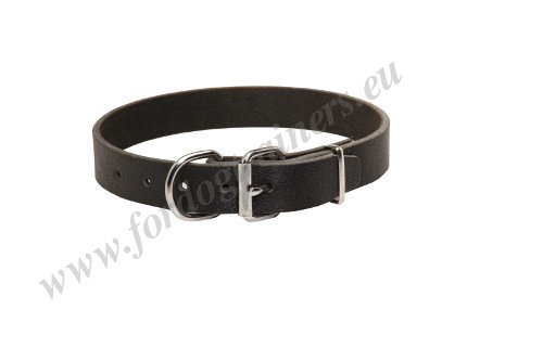 Black Leather Dog Collar Simple