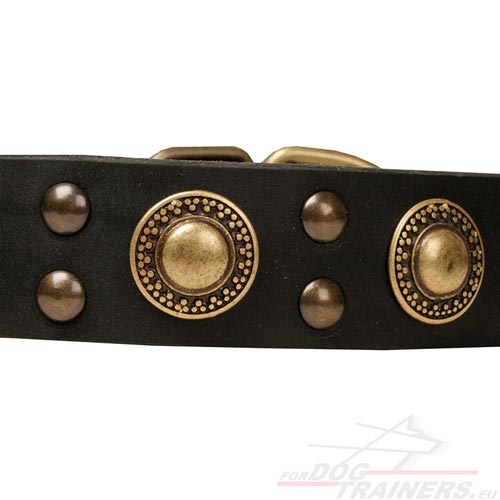 Buckle Dog Collar Black with Embossed Rings