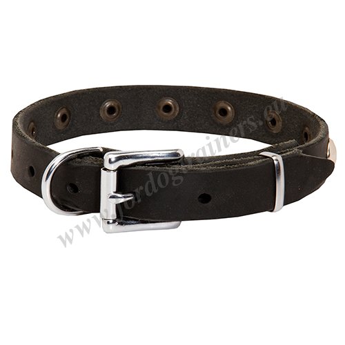 Comfortable Dog Leather Collar Functional