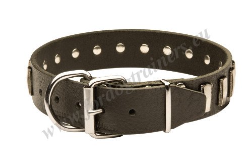 Nickel-plated Dog Collar Hardware
