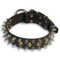 Leather dog collar