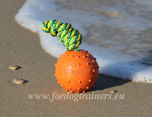 Easy-to-use Rubber Dog Toy