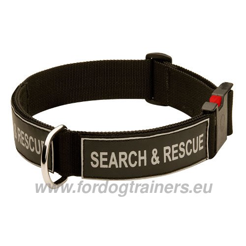 Nylon Dog Collar for Service and Military Dog
