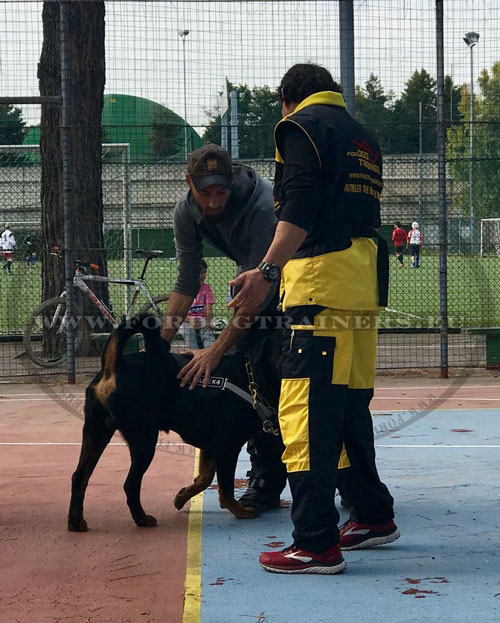 Protective Suit for Dog Handlers and Trainers