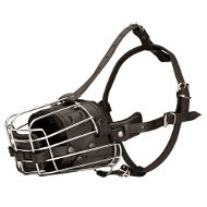 Wire basket muzzle with padding