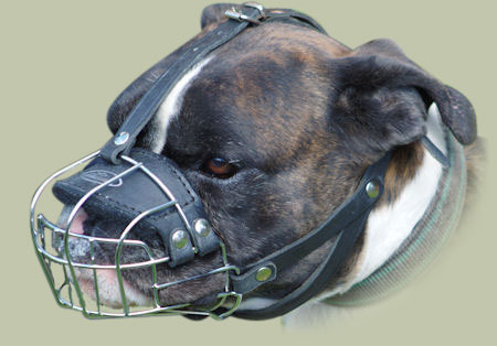 Wire dog muzzle for Boxer