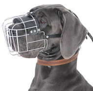 Basket steel muzzle for large dog