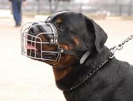 Metal
basket muzzle for Rottweiler