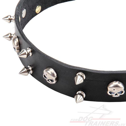 Dog Collar Leather with Spike and Skulls