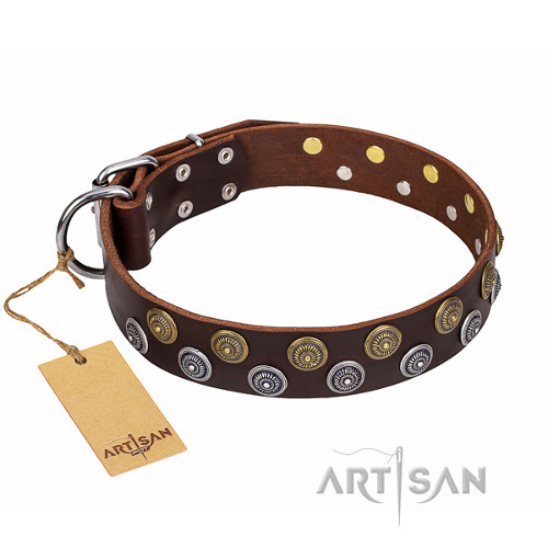 Stud Collar
for Dogs
