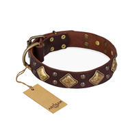 Brown "Golden Square" Dog Collar FDT Artisan◇◦