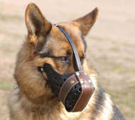 Leather muzzle for GSD with good ventilation