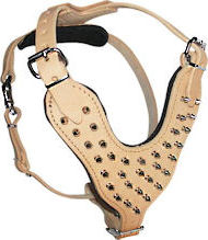 Tan Spiked Harness