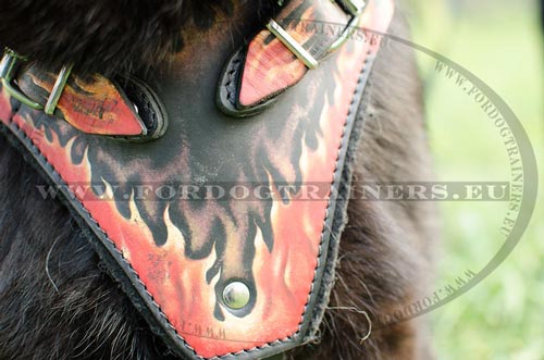 Resistant leather dog harness with painting decoration