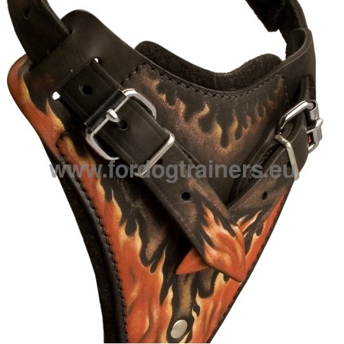 Harnais cuir pour Bull Terrier Style &
Qualit