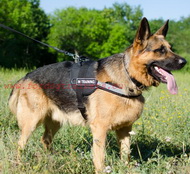 Extra strong nylon dog harness for German Shepherd with patches