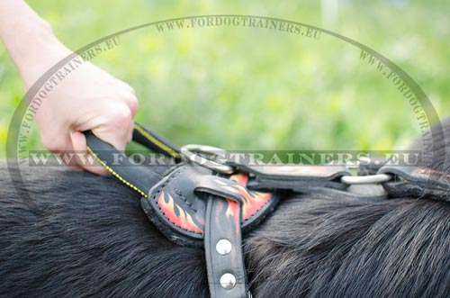 Multifunctional painted dog harness for German Shepherd to be stylish