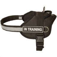 Dog Harness with Patches