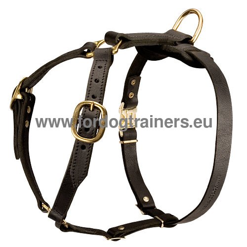 Luxe dog harness for tracking