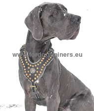 Great Dane Royal Dog Studded Leather Harness ❖