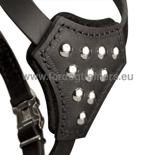 Harness from Flexible Leather