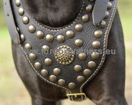 High-Quality Leather Harness with Studs for Pitbull