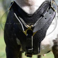 Padded Dog Harness, Exclusive Leather Handcrafted ! ❦