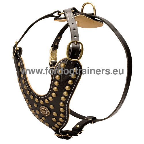 Excellent Y-shape leather dog harness