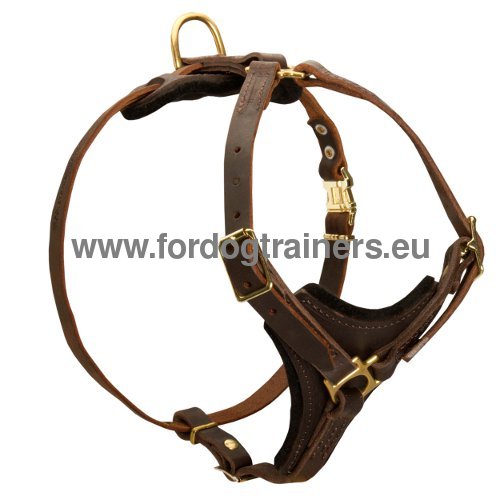 Tracking Dog Harness Brown