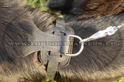 Multifunctional leather dog harness best for German Shepherd