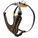 Leather Royal Harness for Dog