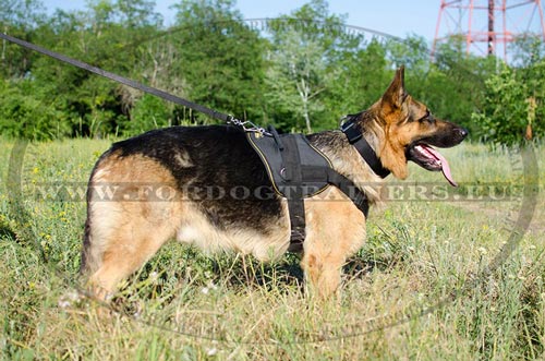 Perfect Universal Nylon Dog Harness for German Shepherd