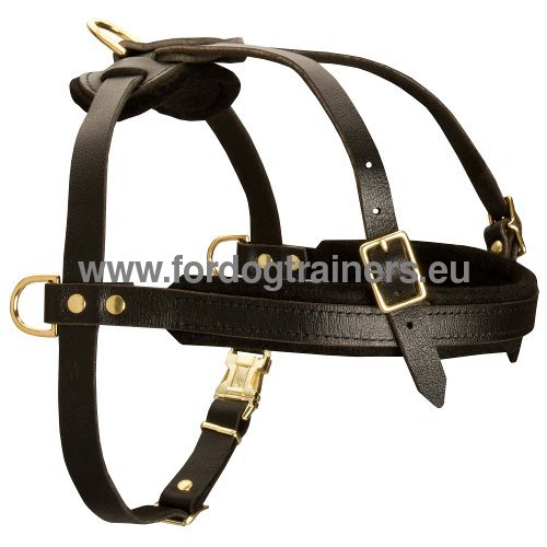 Comfortable leather harness for tracking