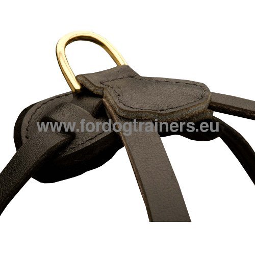 Practical leather dog harness of resistant genuine
leather